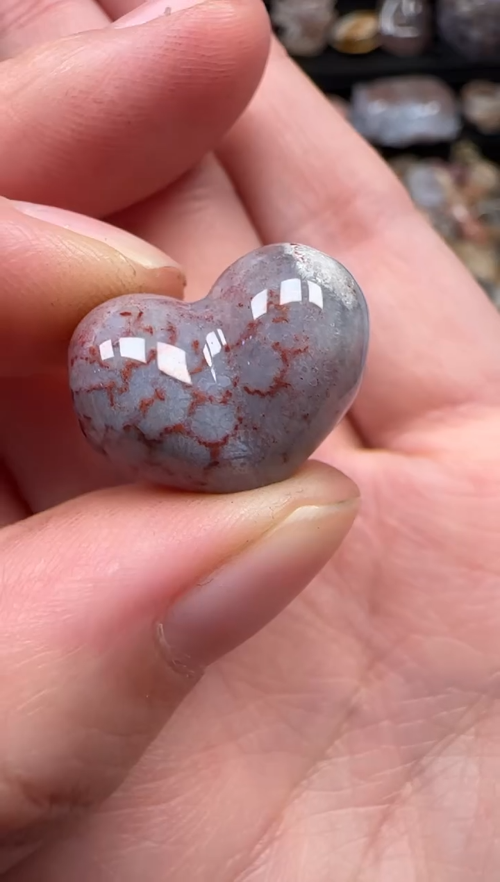 颈饰未镶嵌硅化珊瑚（珊瑚玉）224