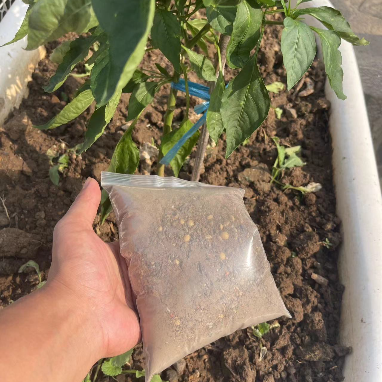 三合推荐原装后花园专用营养土种基生适合多种铺面养花