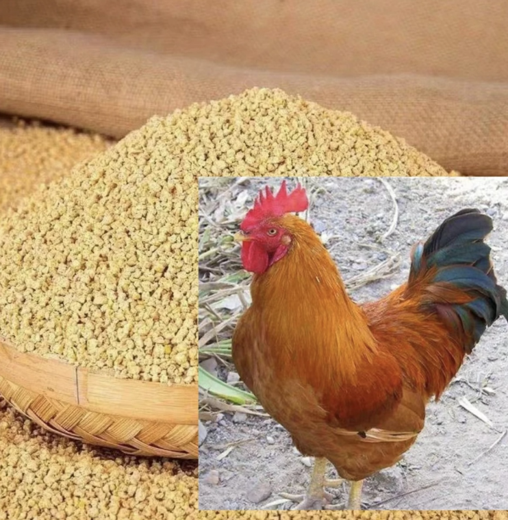 九营养均衡适应性强饲料好喂养