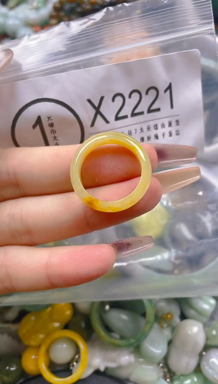 【闪购商品】翡翠颈饰未镶嵌19/X/翡翠A货一图一物