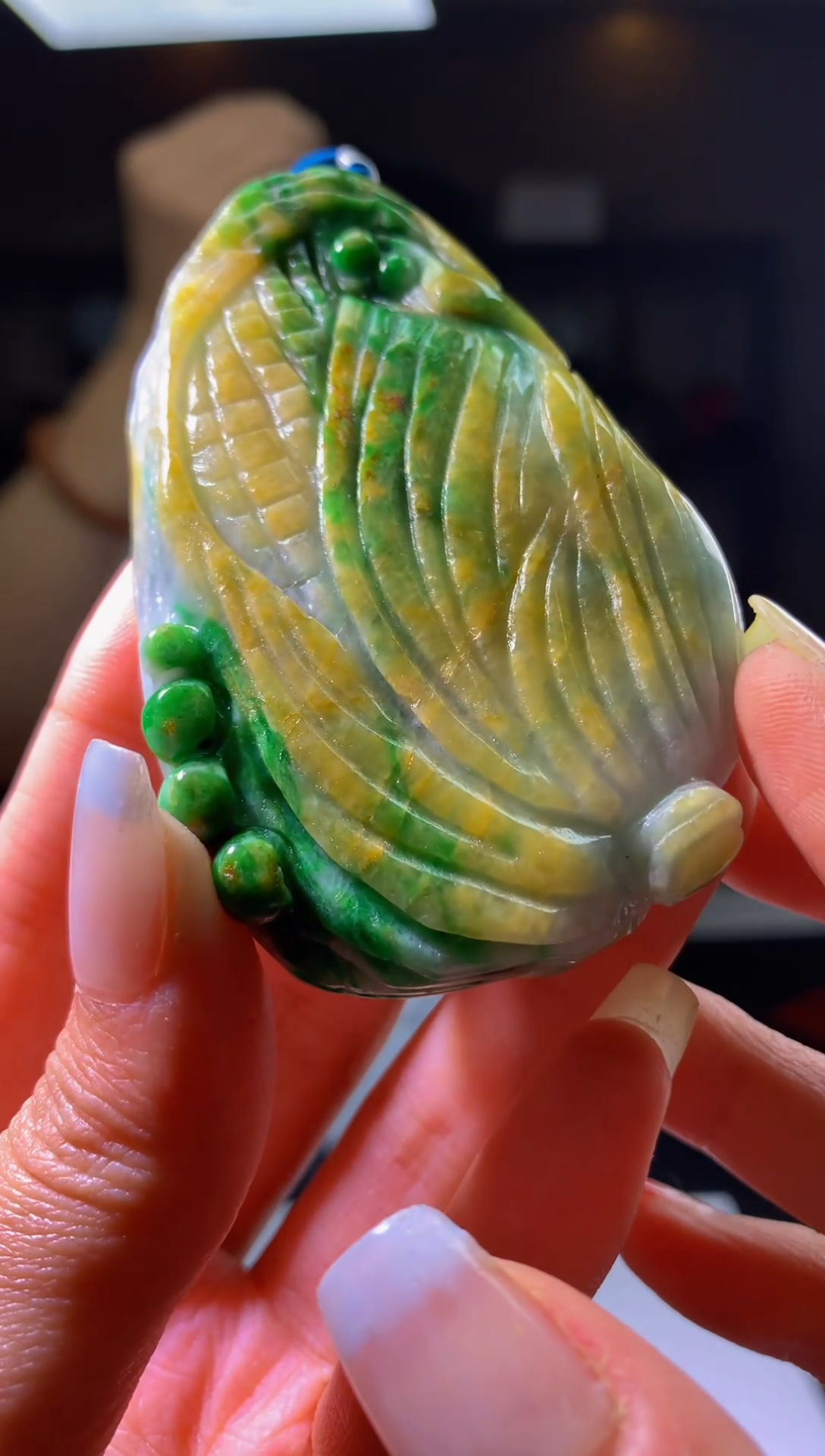 翡翠未镶嵌颈饰净货