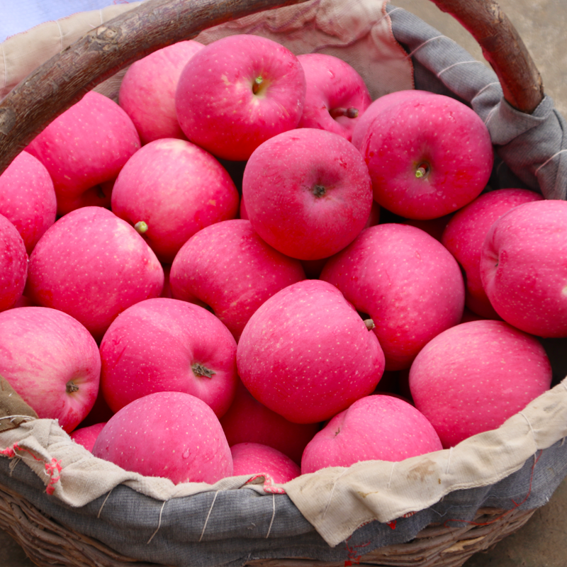 【顺丰次日达】新疆阿克苏小苹果脆甜苹果新品新鲜水果现摘现发新疆维吾尔自治区