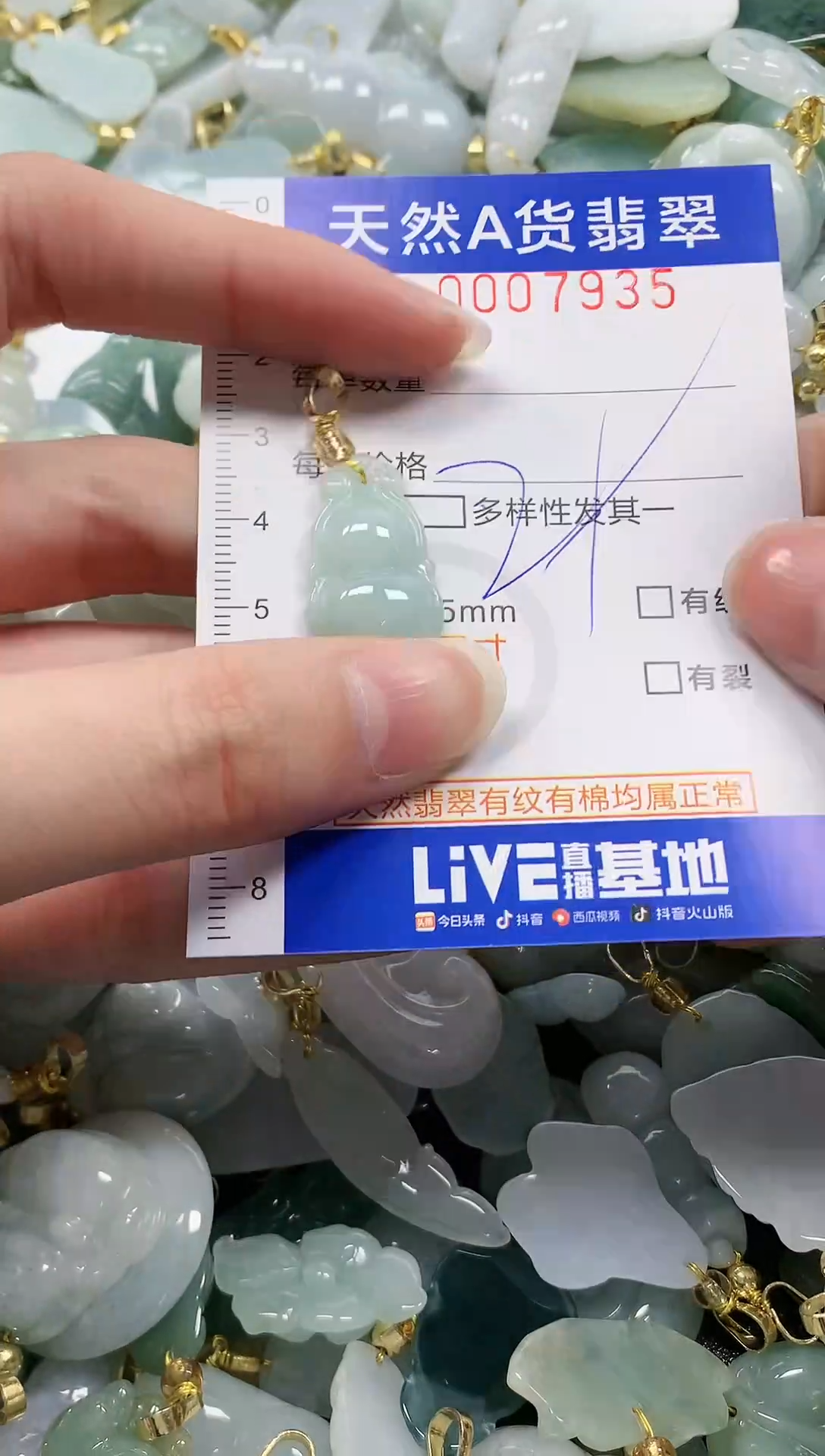 颈饰未镶嵌翡翠纯天然a货翡翠