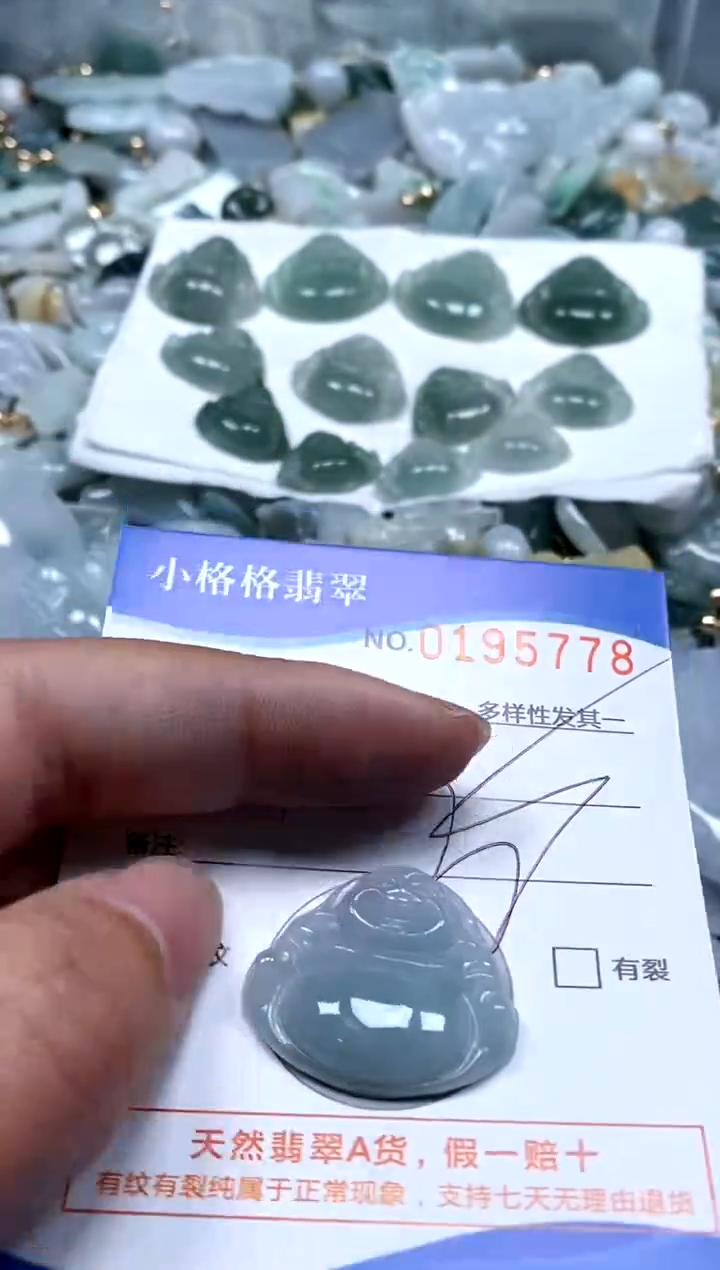 【闪购商品】翡翠颈饰未镶嵌闪购商品0195778