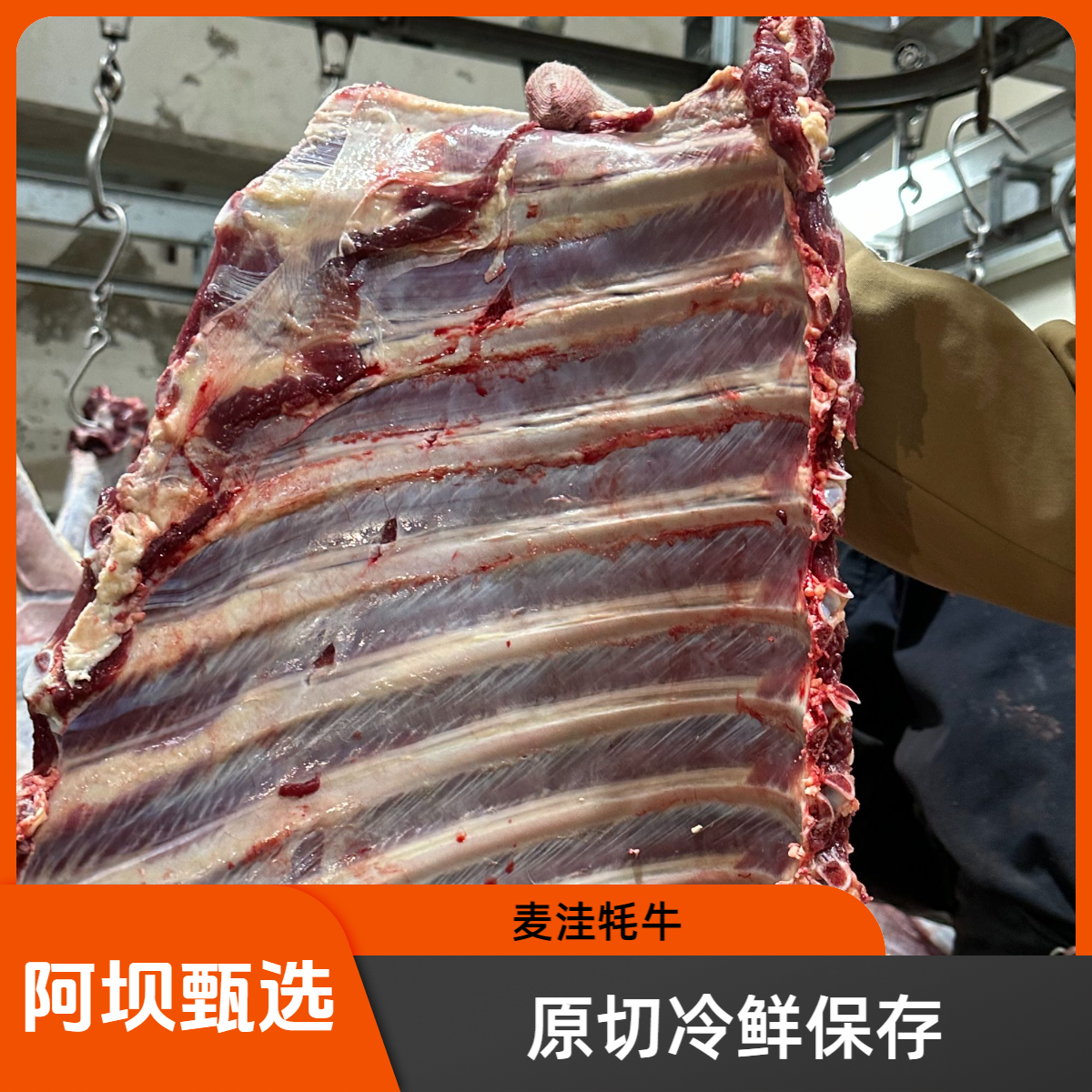整切牛排【四川阿坝甄选4斤麦洼牦牛精排】冷链包邮4斤牦牛草饲新鲜原切