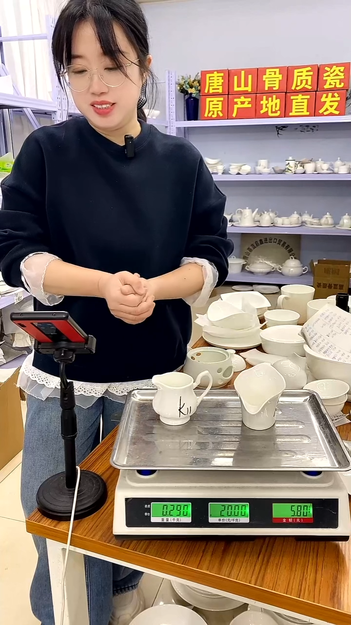 骨瓷七*宝嘉蓝骨质瓷------飞向蓝天星恋