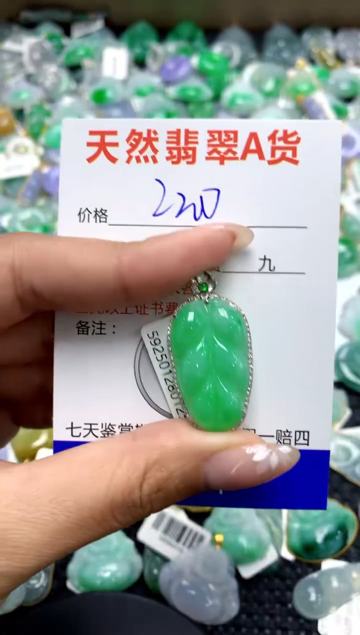 【闪购商品】翡翠颈饰18K金镶嵌111111111111111111