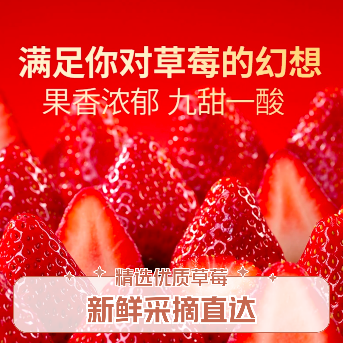 河南中牟姚家镇宁玉草莓 1斤/2斤