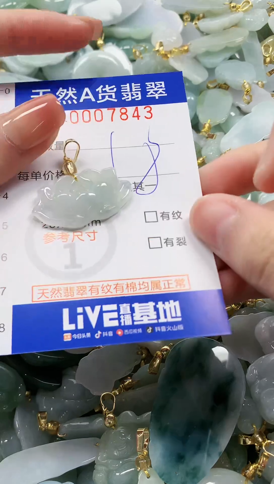 颈饰未镶嵌翡翠纯天然a货翡翠