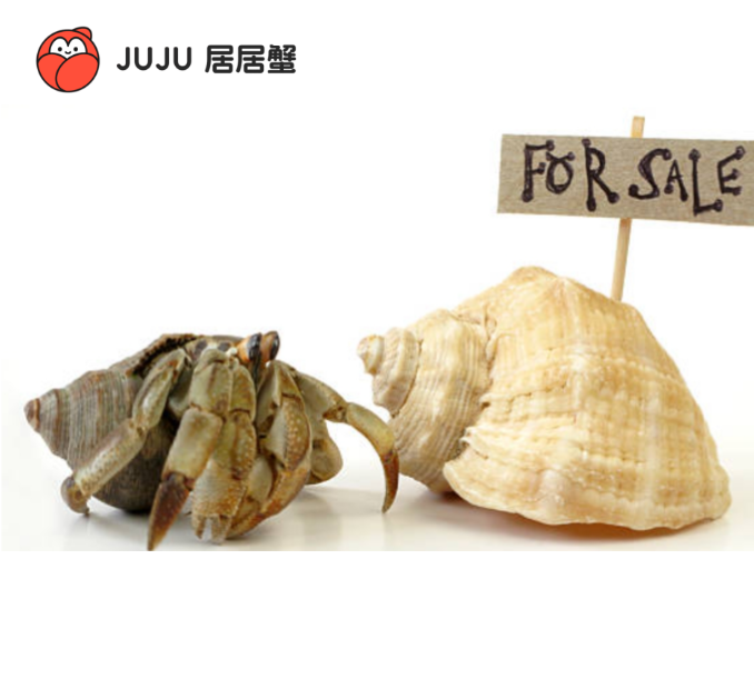 【选蟹再下单】迷你造景宠物  儿童礼物 直播挑选