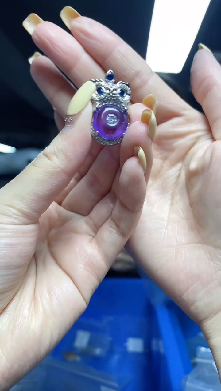 未镶嵌颈饰紫晶（多样性发一件）