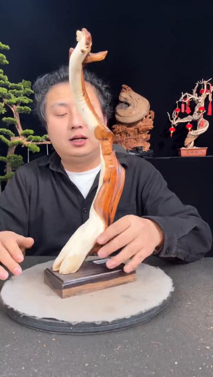 【闪购商品】柏木（崖柏）其他手工摆件,先抢先得!