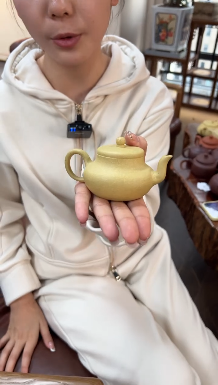 【闪购商品】紫砂茶壶【头哥手工壶】君德本绿