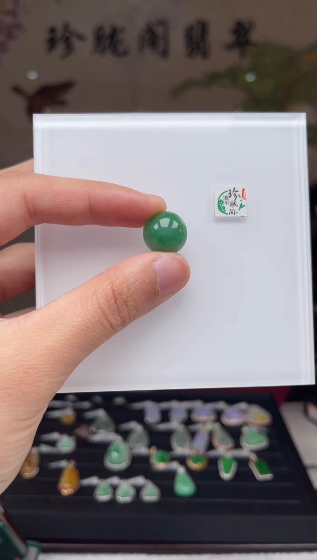 【闪购商品】翡翠颈饰未镶嵌21号（不退换）