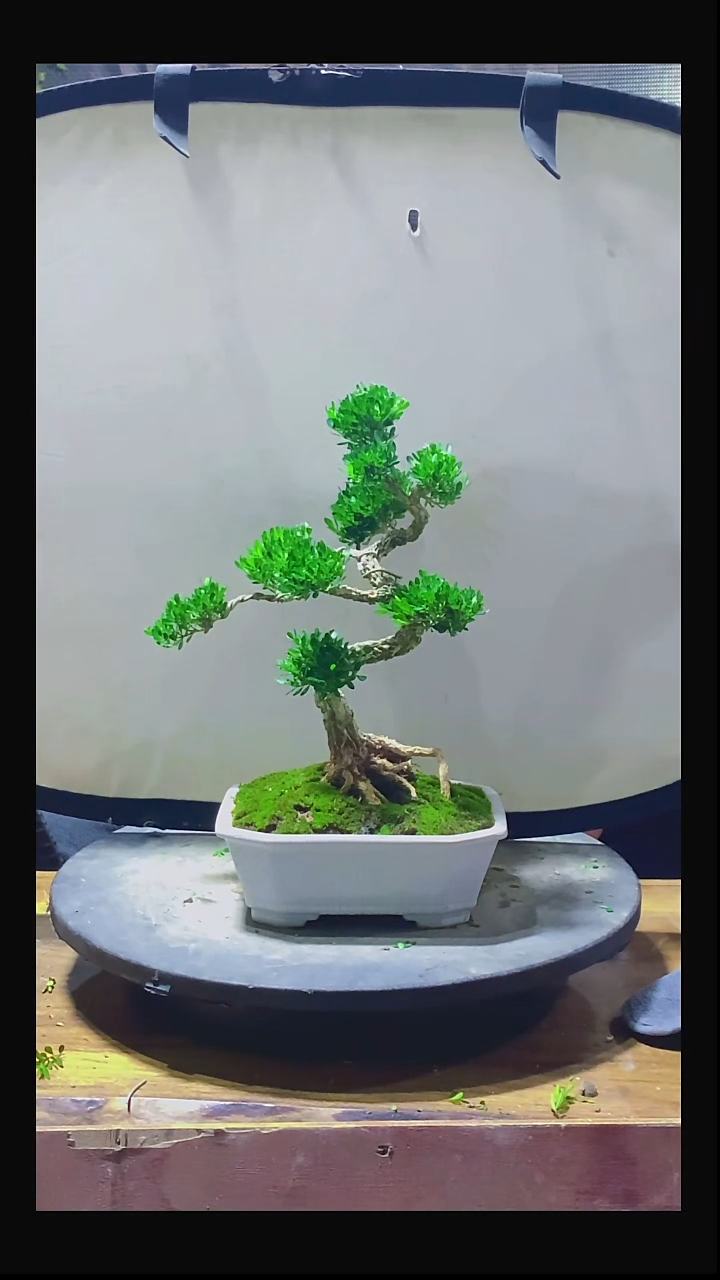 完全开放人**火11111111111111