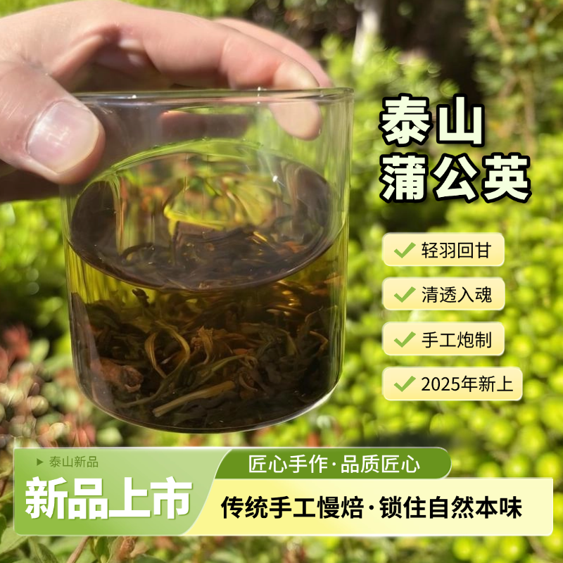 （2025新）泰山蒲公英/泰山/蒲公英/当年采摘蒲公英