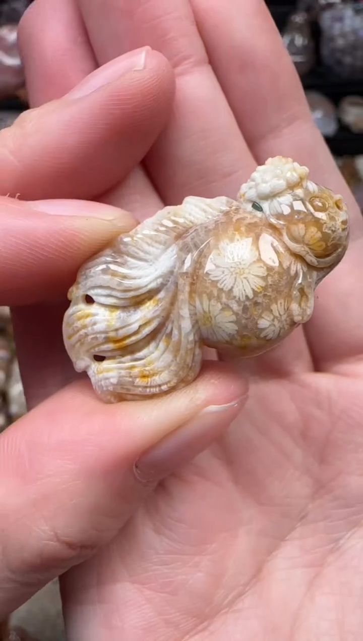 颈饰未镶嵌硅化珊瑚（珊瑚玉）133