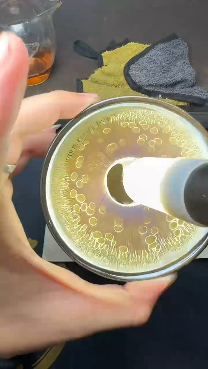 【闪购商品】茶盏徐长和曜变盏191