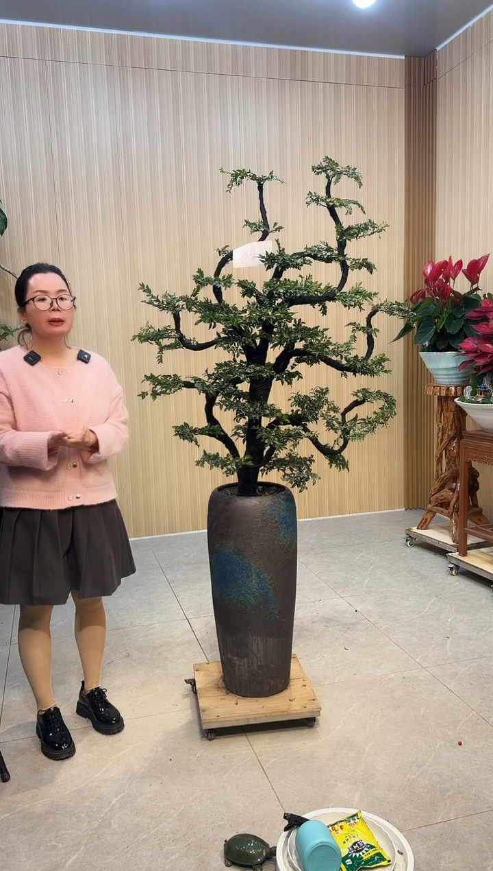 无花朵中***虹广东小叶紫檀小叶紫檀复古