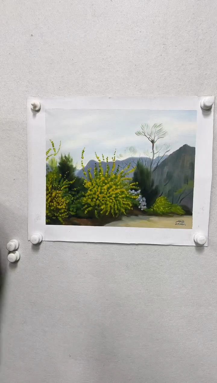 【闪购商品】国画宁作顺老师油画作品