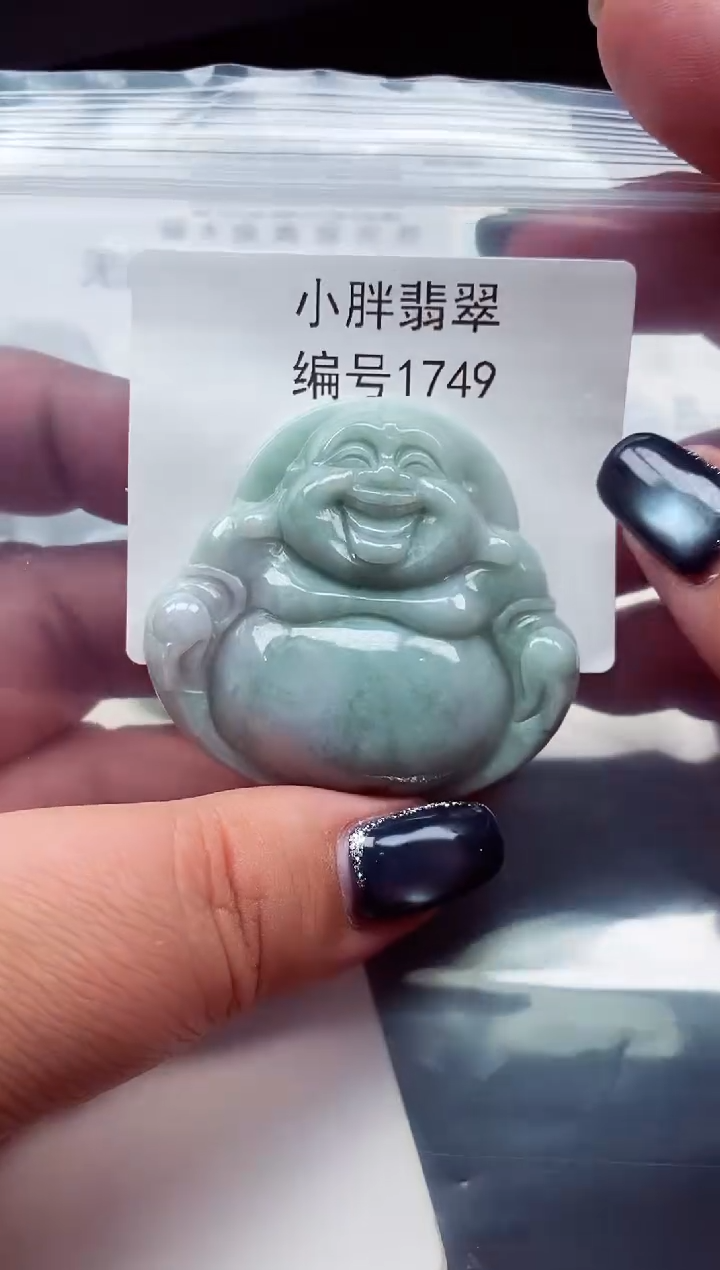 颈饰未镶嵌翡翠缅甸天然A货翡翠1749