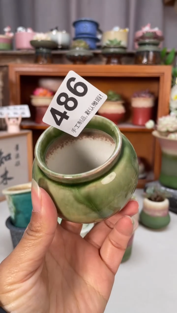 瓷片486小芳直播编号