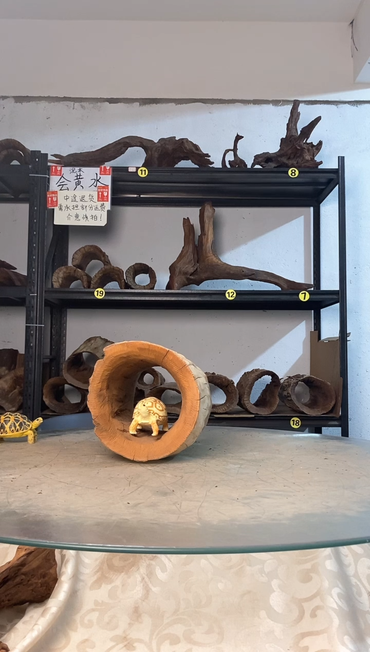 王*鱼缸爬宠造景素材774