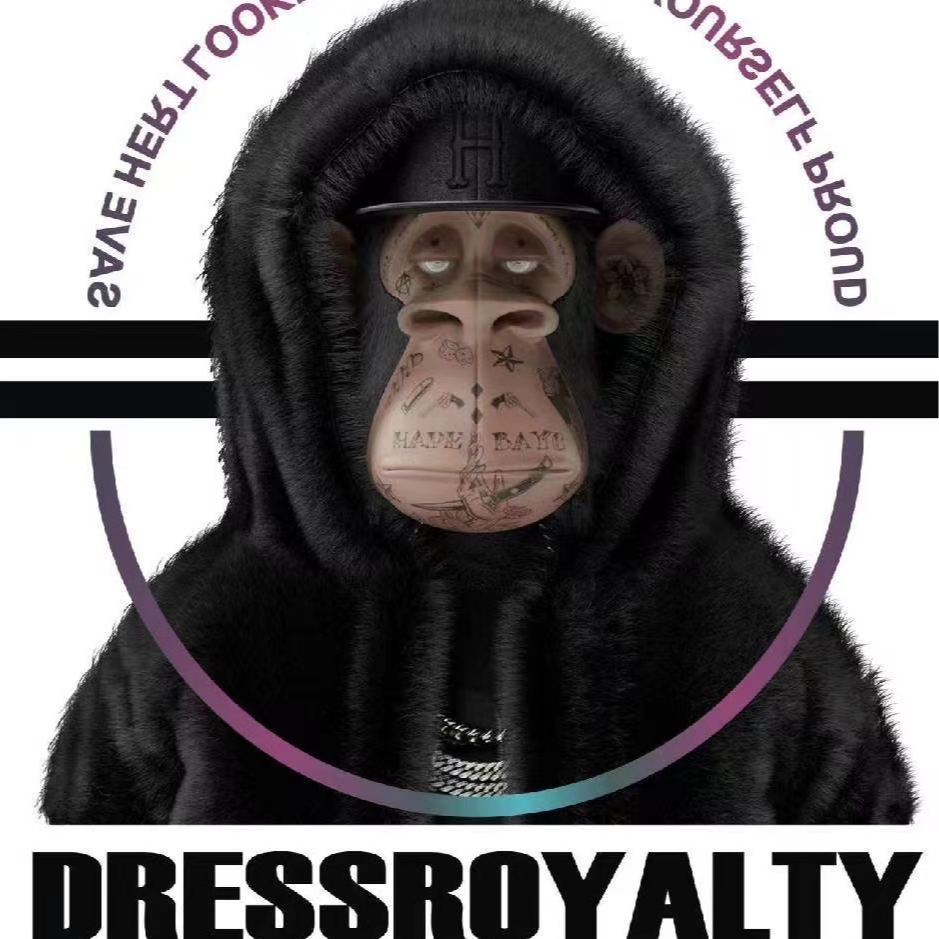 DRESS ROYALTY反光英文刺客短袖外套宽松韩潮上衣-2030346