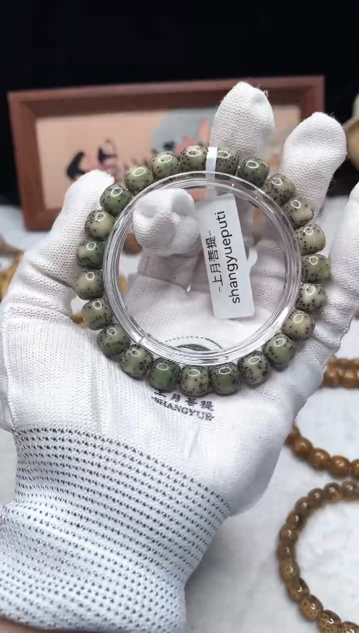 手串星月菩提e39 10x9 e001