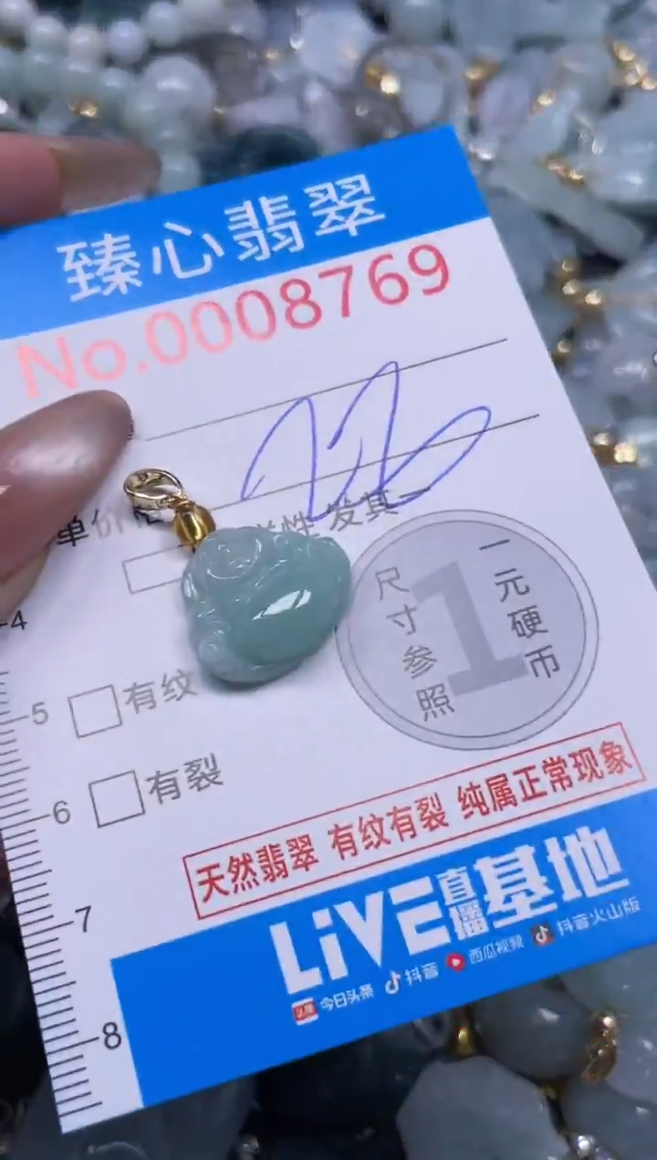 颈饰未镶嵌翡翠8769