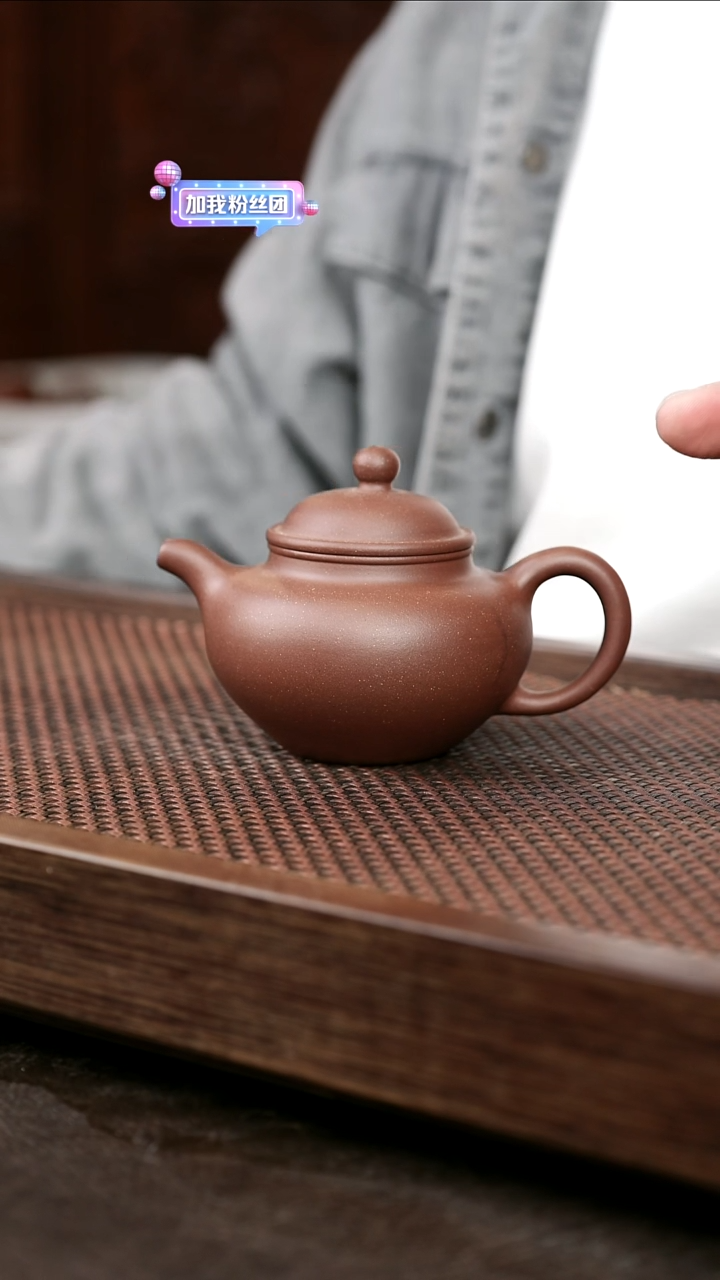 茶壶紫砂底槽清莲子