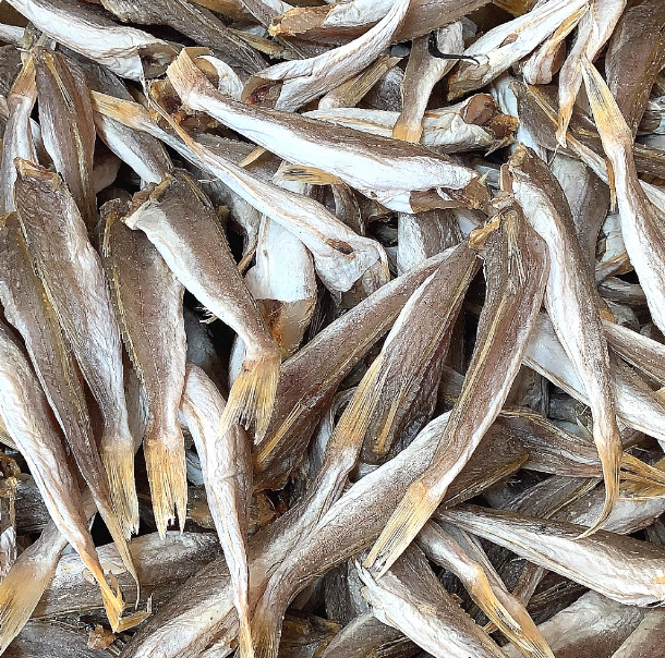 【到手一斤】红娘红头鱼干货 海鲜干货海产品干鱼海鱼咸鱼干六成干