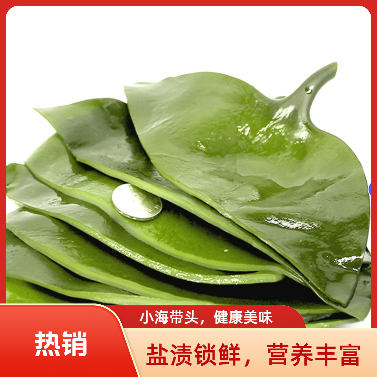 大连特产新鲜盐渍小海带头营养丰富老少皆宜脆爽可口