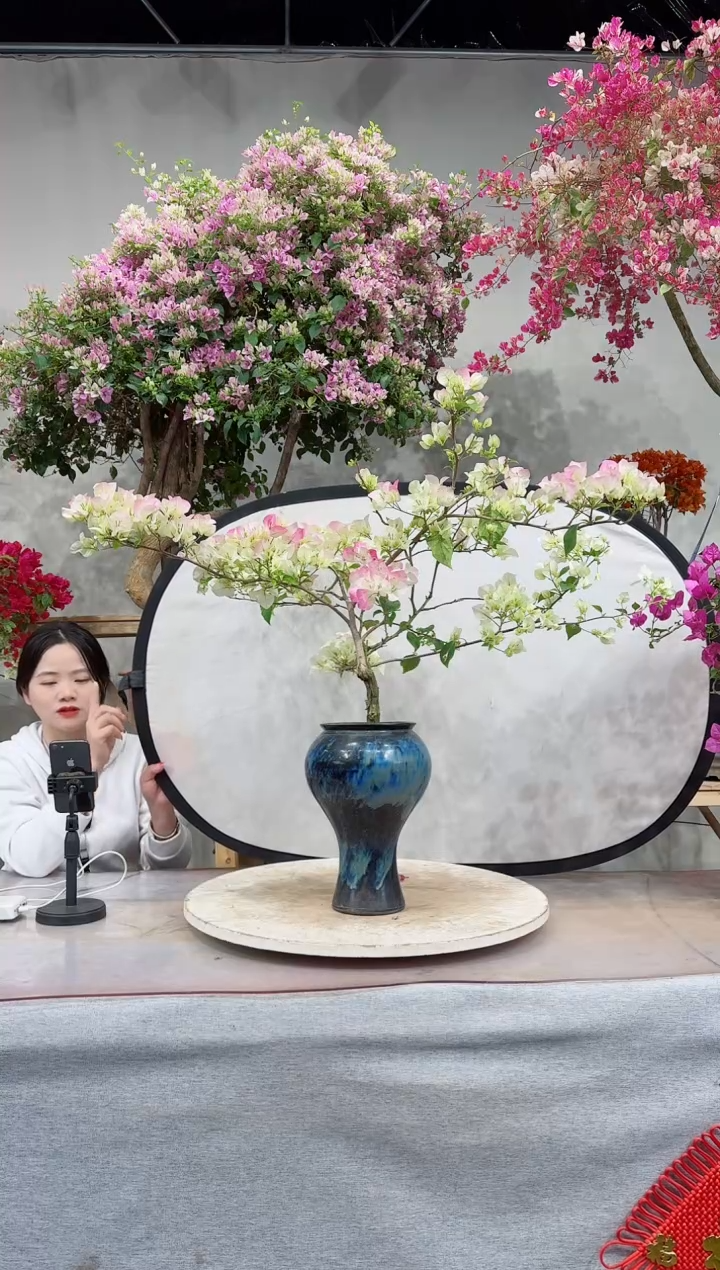 【闪购商品】盆景绿叶樱花