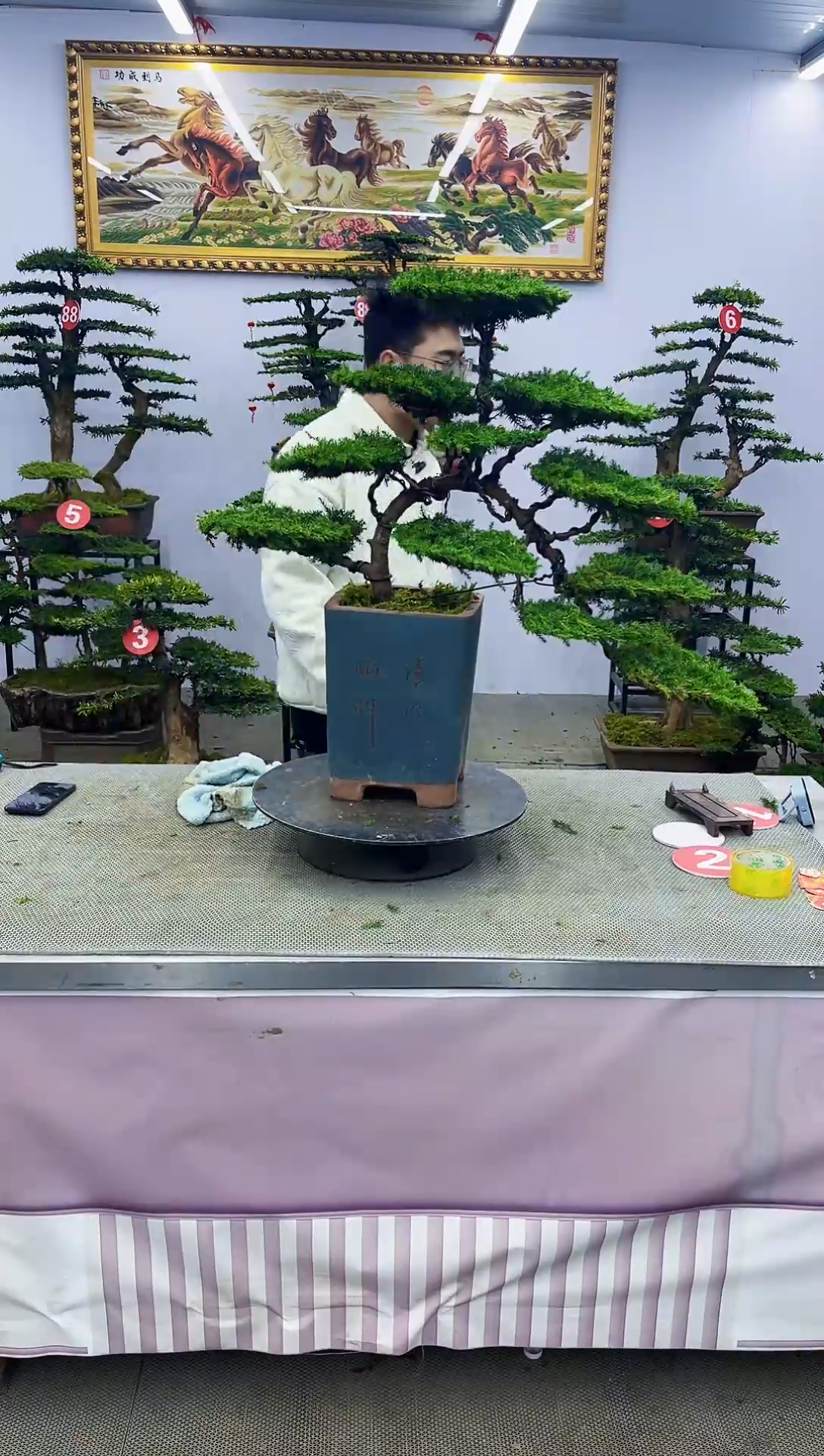 【闪购商品】一物一拍，所见即所得一物一拍，所见即所得