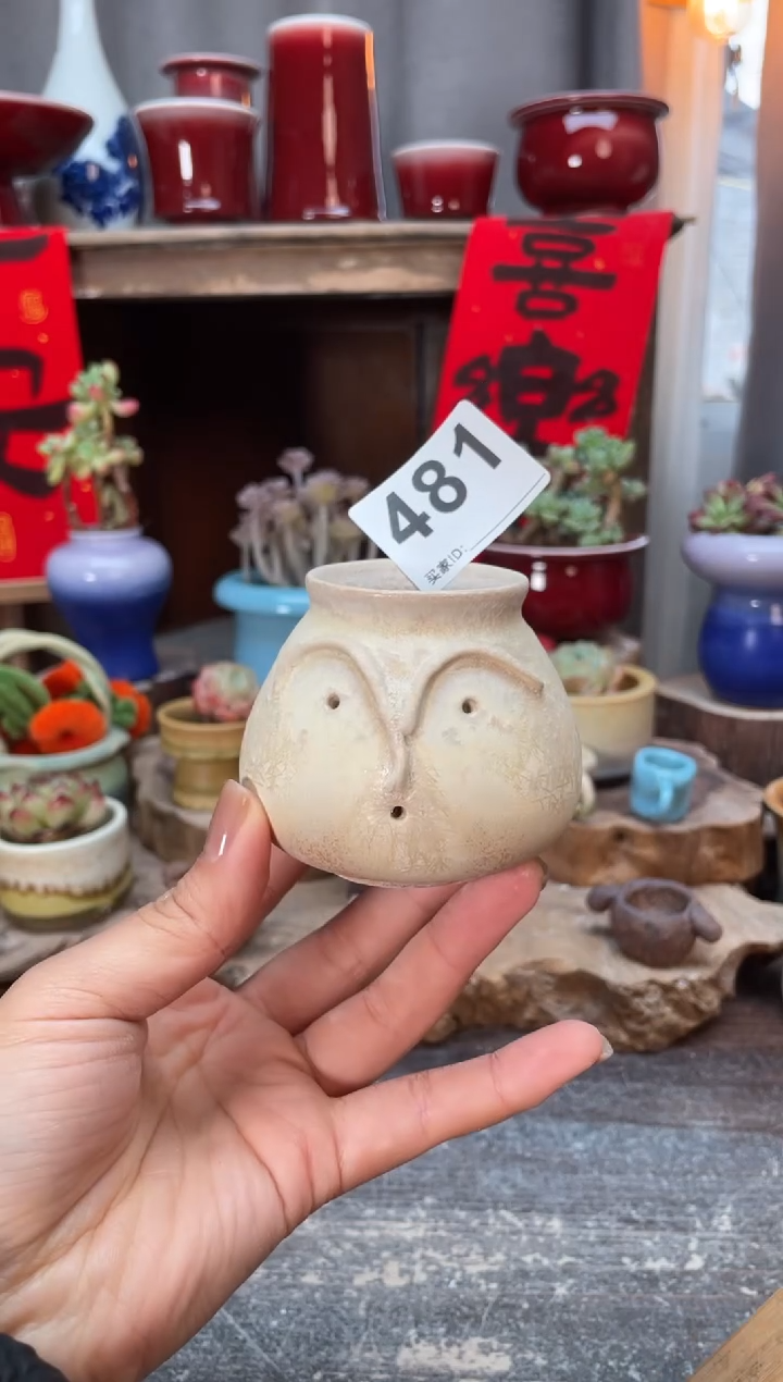 【闪购商品】摆件481福利知木小芳花盆