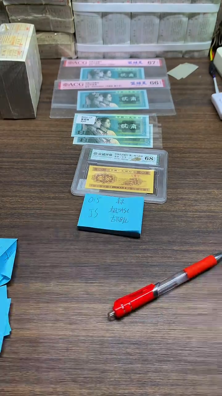 JS枫叶红 太阳红 0.5标十标十