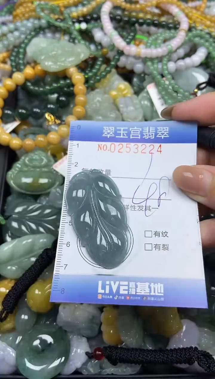 颈饰未镶嵌翡翠闪购C0253224