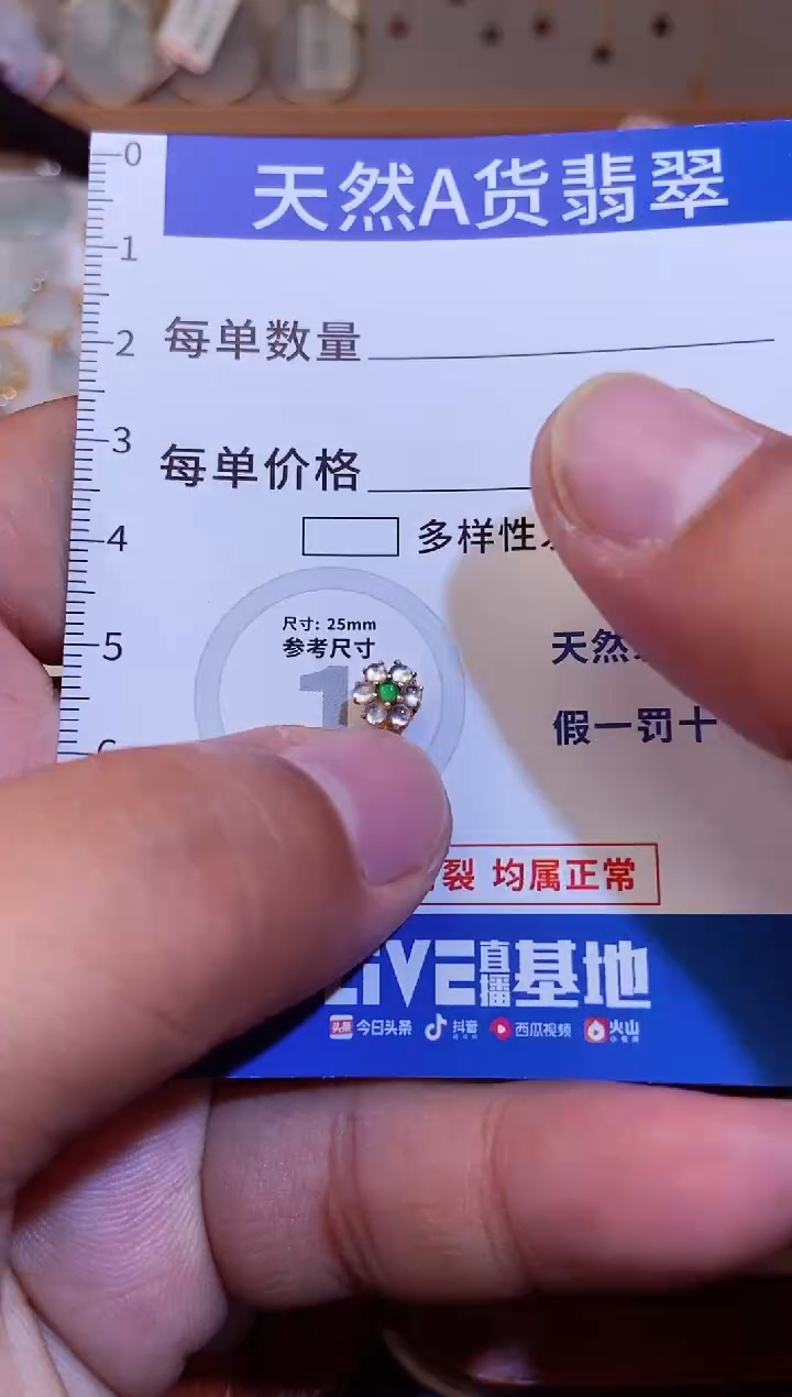 【闪购商品】翡翠颈饰18K金镶嵌 翡翠