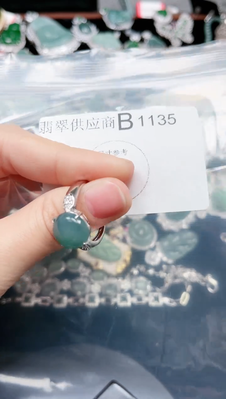 【闪购商品】翡翠颈饰未镶嵌1135赠皮绳