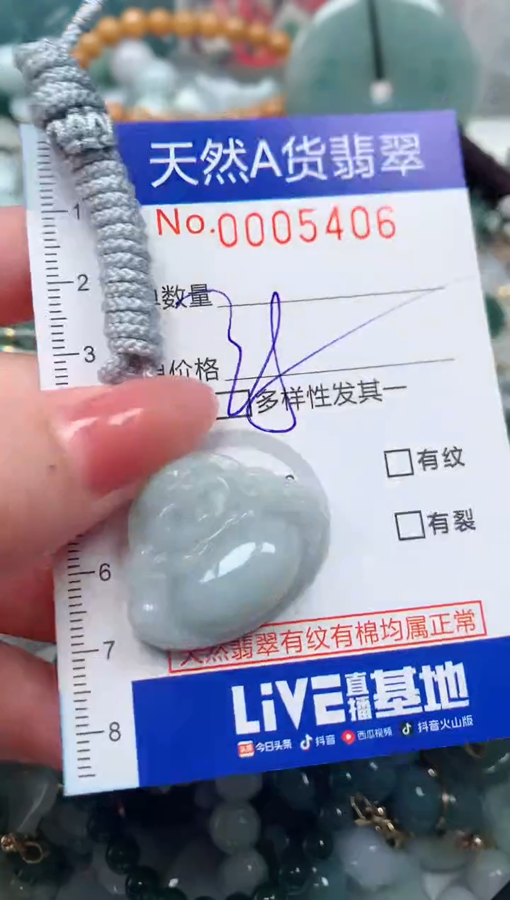 【闪购商品】翡翠颈饰未镶嵌00005406