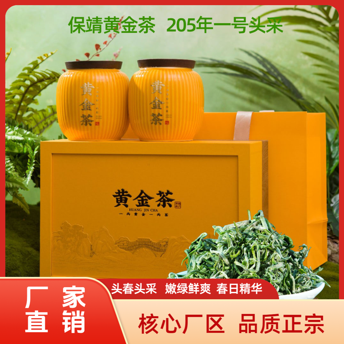 迁陵茶业 2025年保靖黄金1号特级《酉爱•山河》高端绿茶