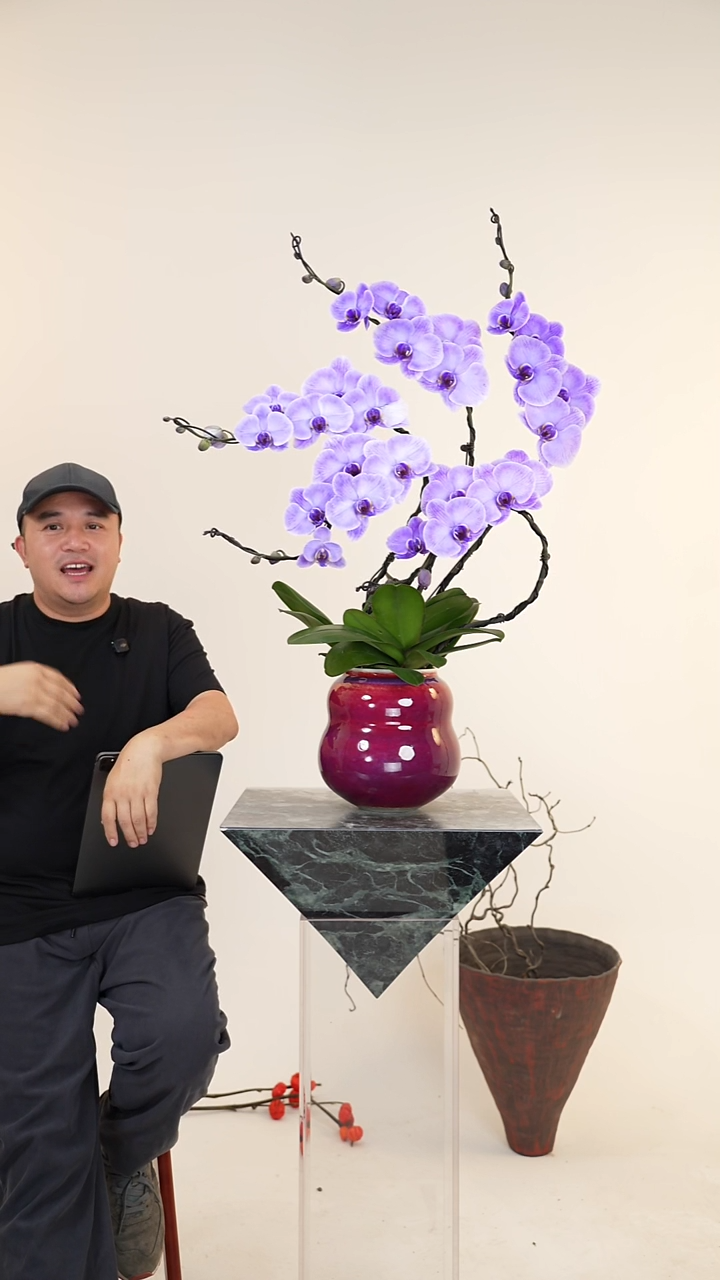 全部花朵006号链接【一物一拍】艺术盆景