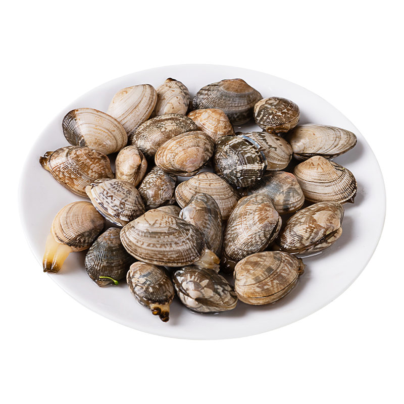 花甲（小）500g±50g/份（90粒左右）