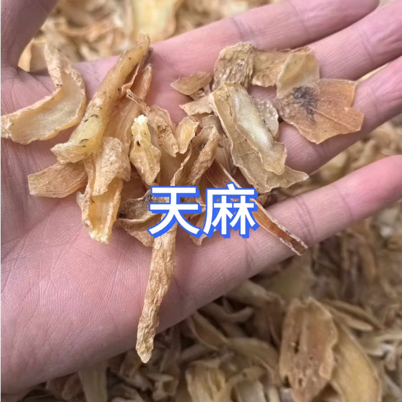 天麻切片晒干干净无添加原色原味可搭配咱家绞股蓝对付压压非常好