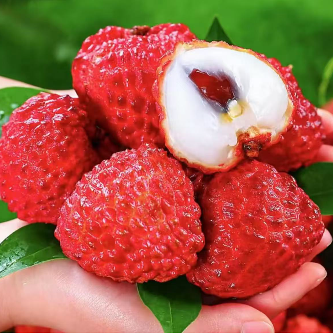 《果立方》海南空运火山岩荔枝王汁水饱满新鲜水果顺丰包邮g