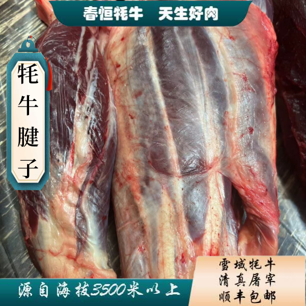 【牦牛前腱】4斤 有牦牛毛 酱卤/凉拌 青藏高原牦牛肉 甘肃