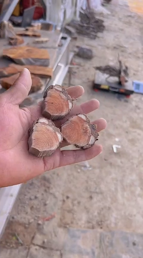 柏木（崖柏）004崖柏小块骨料3块