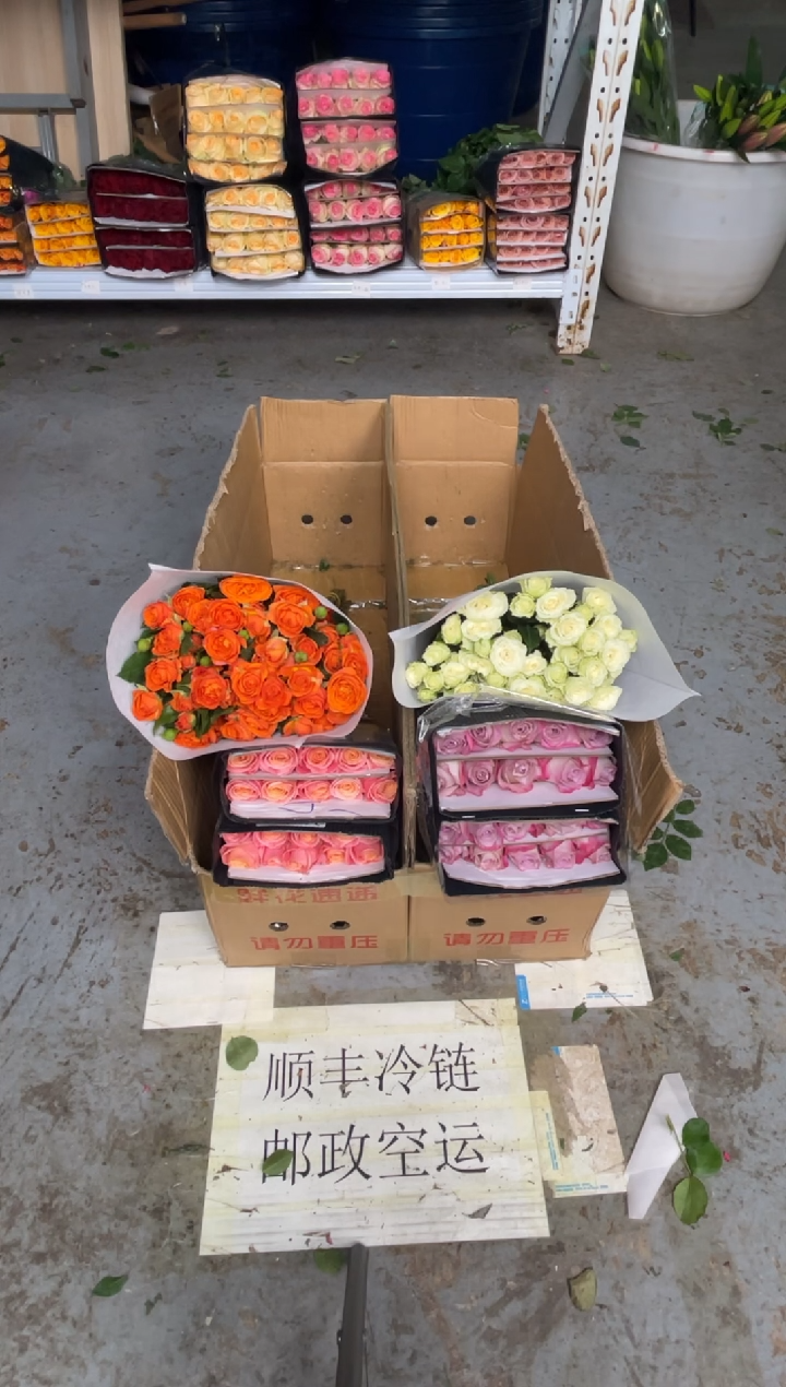 单头玫瑰20枝（任意色）+多头玫瑰10枝（任意色）