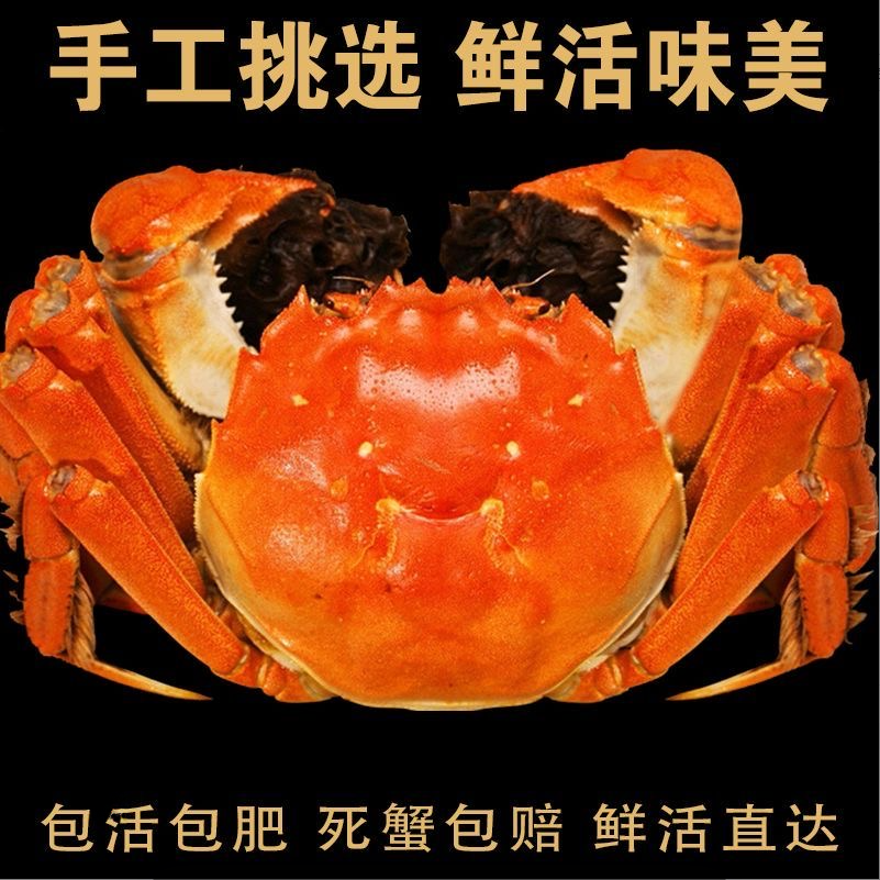 【活蟹】精品大闸蟹公蟹4.0-3.7两母蟹3.0-2.7两6-8-10只H